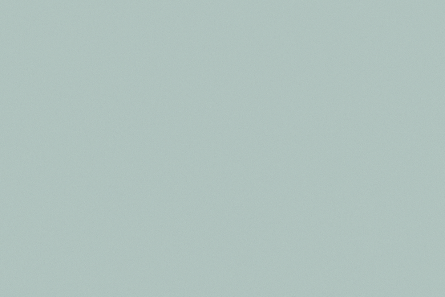 generate plain hex color #bcd5d8 image for color chart without any writting